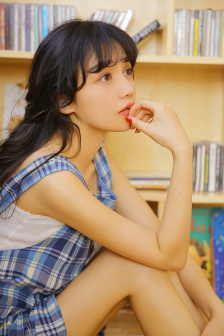 廉政行动组